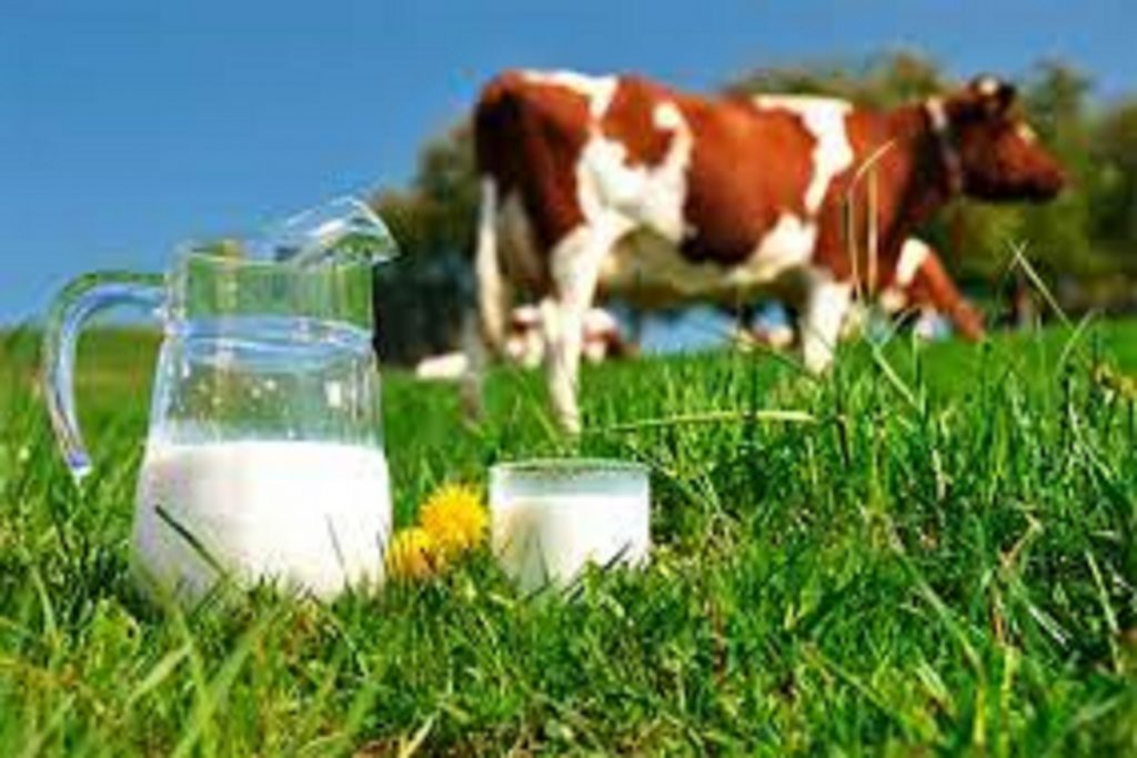 Solución respaldada por el USDA (United States Deparment of Agriculture) de Native Microbials puede mejorar la huella de carbono de la leche láctea.