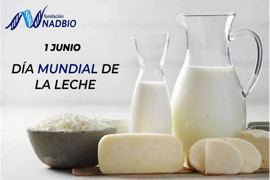 Día mundial de la leche – 1 de junio