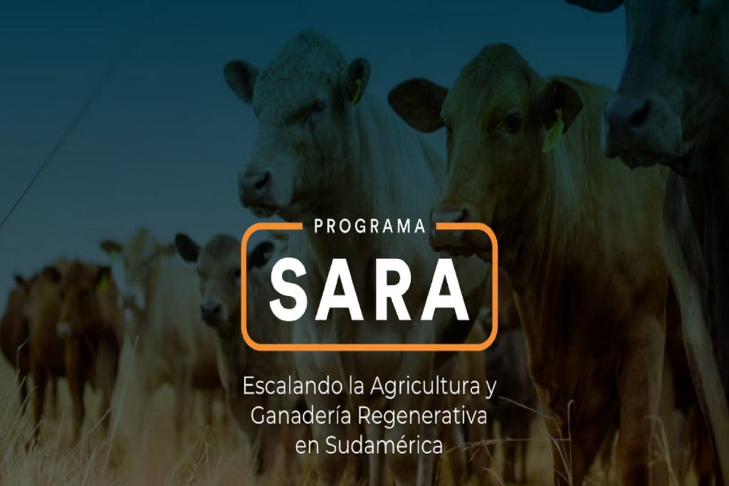 ARGENTINA: Comprometidos con la ganadería regenerativa.