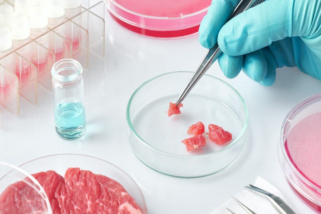 La carne de laboratorio nuevamente al debate; en Estados Unidos cuestionan su supuesta sustentabilidad