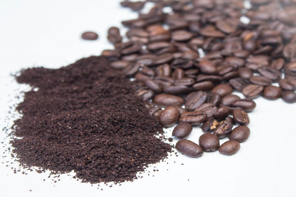 Residuos de café, un potencial para alimentar ganado y contribuir con el medio ambiente